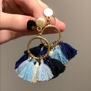 Tassel earnings